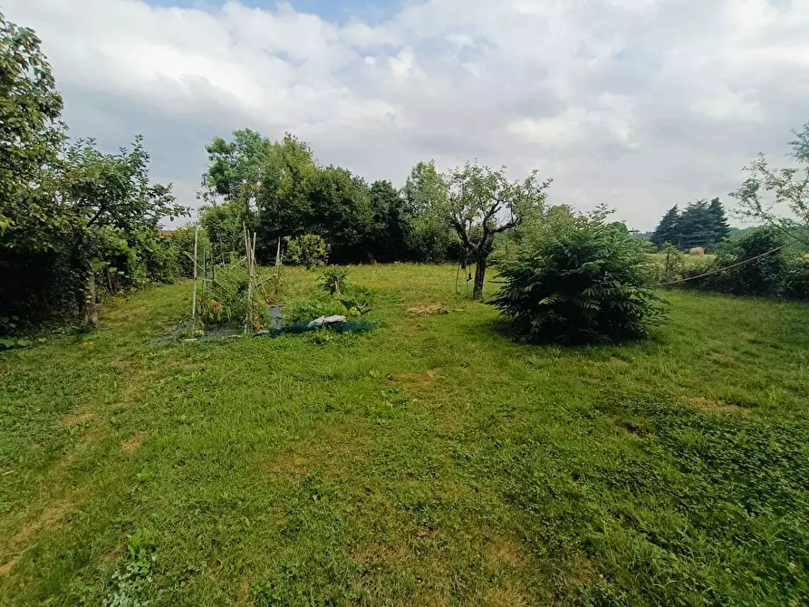 Immagine 4 di Terreno agricolo in vendita  in Frazione Remondato 30 a Ciriè