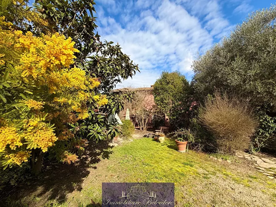 Immagine 34 di Terratetto in vendita  in Via di Carcheri a Lastra A Signa