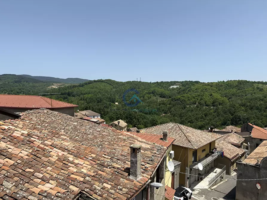 Immagine 1 di Terratetto in affitto  in Via Partenope 17 a Carlopoli