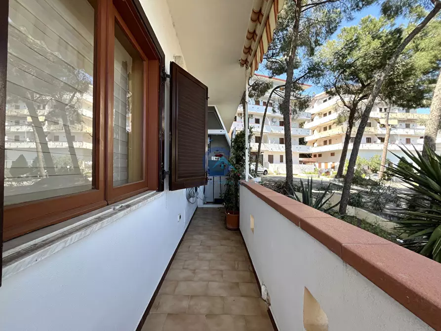 Immagine 7 di Trilocale in vendita  in Via San Martino a Stalettì