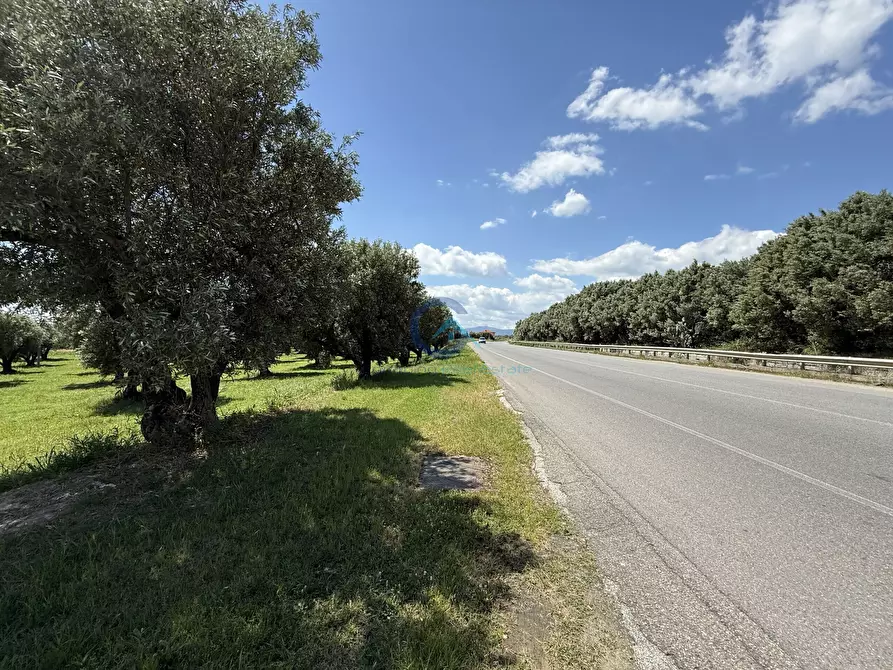 Immagine 1 di Terreno industriale in vendita  in Via Bellino 67 a Catanzaro