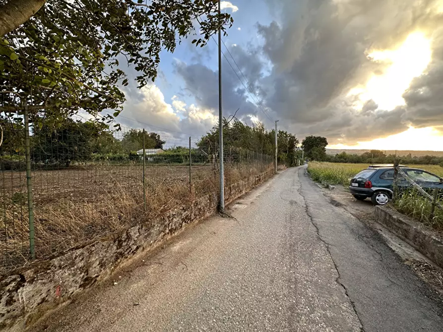 Immagine 7 di Terreno agricolo in vendita  in Via San Fantino a Borgia