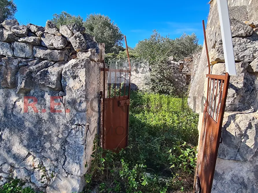 Immagine 22 di Rustico / casale in vendita  a Ceglie Messapico