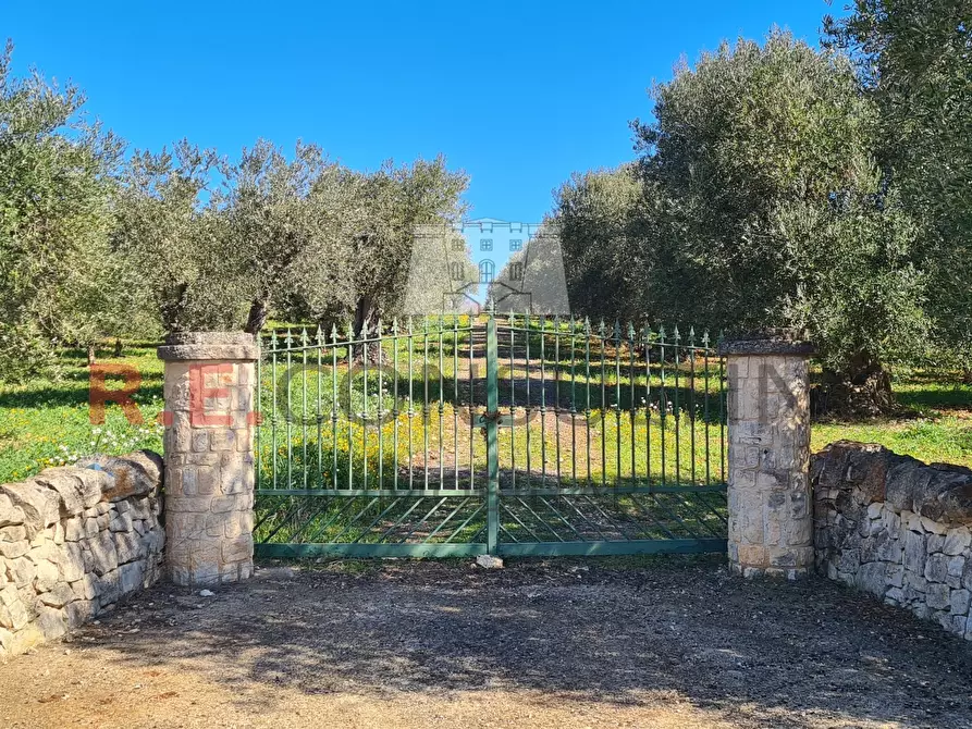 Immagine 43 di Baita in vendita  in Contrada Montemichele 14 a Ostuni