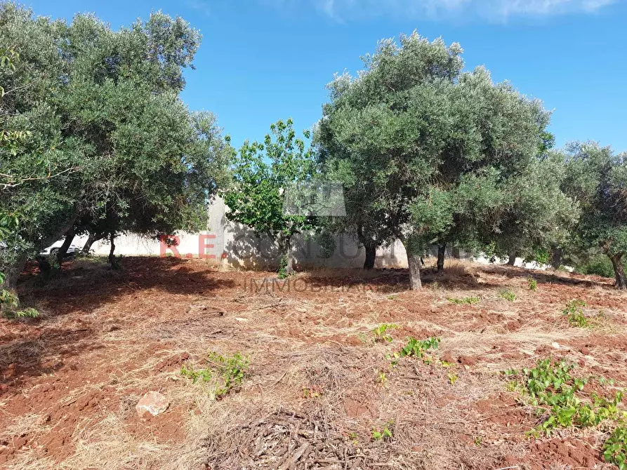 Immagine 3 di Casa indipendente in vendita  in strada sacramento a Ceglie Messapico