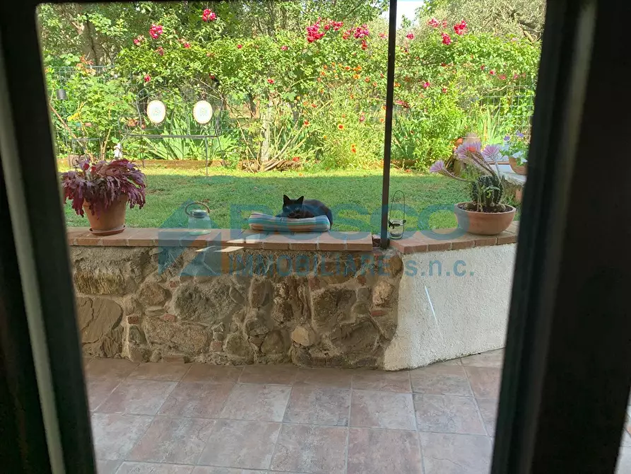 Immagine 5 di Casa bifamiliare in vendita  in Via Canale a Castelnuovo Magra