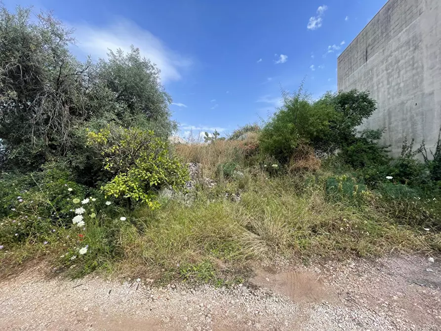 Immagine 8 di Terreno agricolo in vendita  in SOLARINO a Solarino