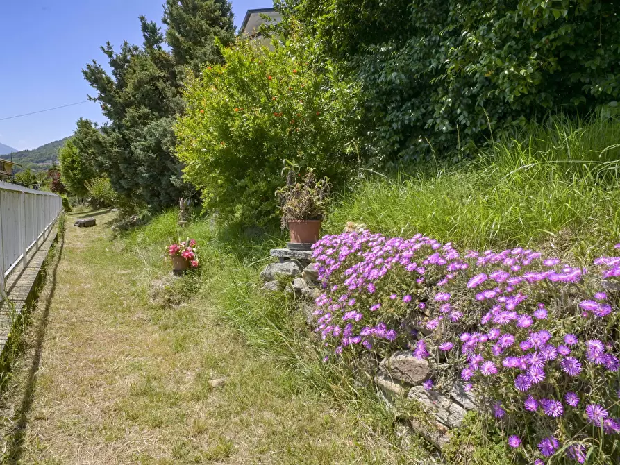 Immagine 16 di Villa in vendita  in via luinengo cossi 61 a Borgiallo