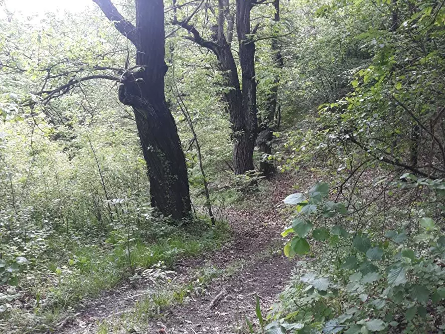 Immagine 21 di Rustico / casale in vendita  in Borgata Coldimosso 42 a Susa