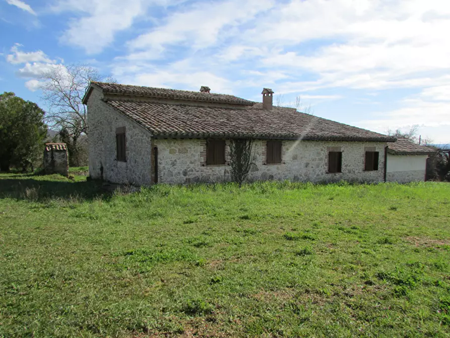 Immagine 6 di Porzione di casa in vendita  a Massa Martana