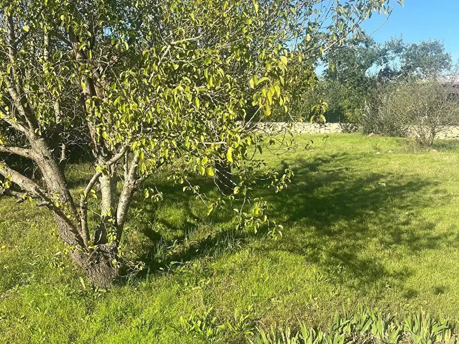 Immagine 12 di Rustico / casale in vendita  in Via Vd'impelo a Castellana Grotte
