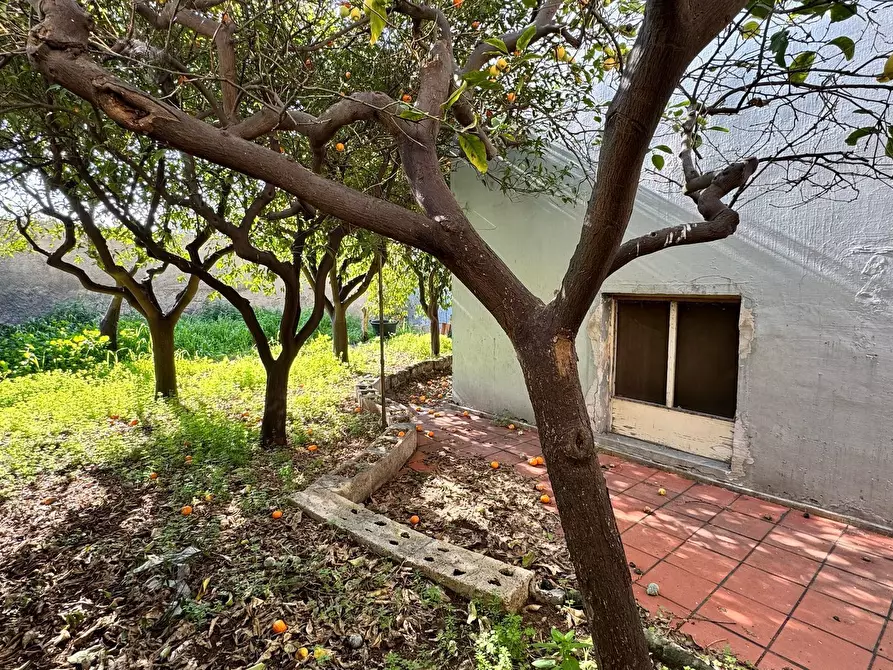 Immagine 2 di Casa indipendente in vendita  in Via Bixio a Monopoli