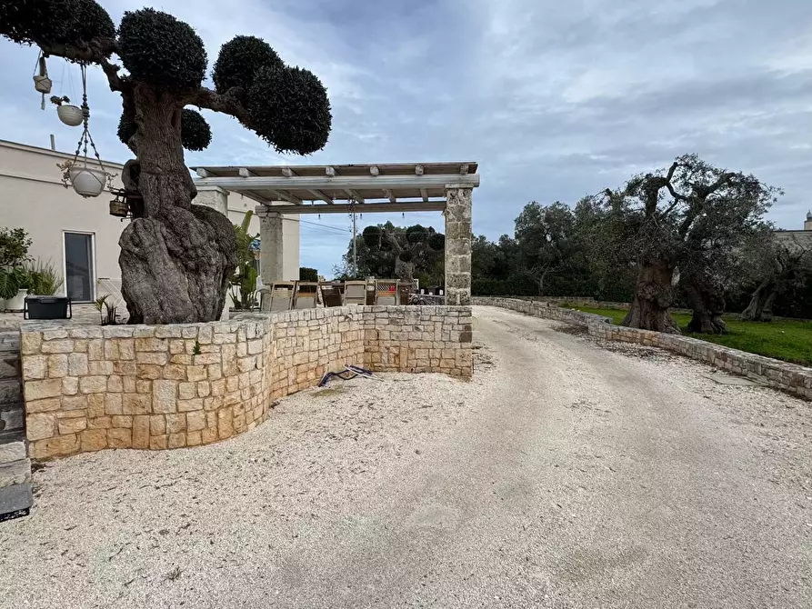 Immagine 4 di Villa in vendita  in Contrada Peroscia 14 a Monopoli