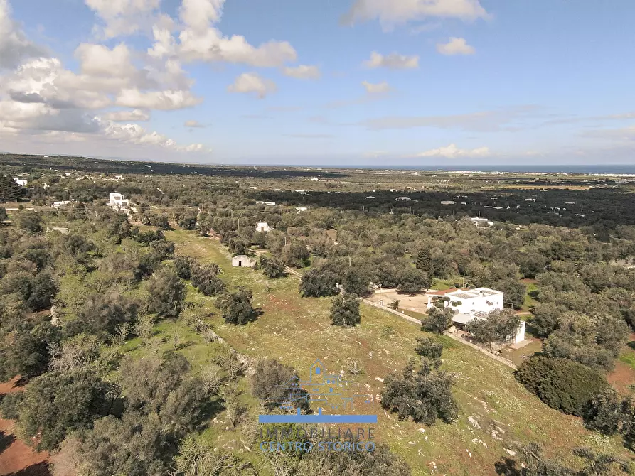 Immagine 5 di Terreno edificabile in vendita  in contrada sierri a Carovigno