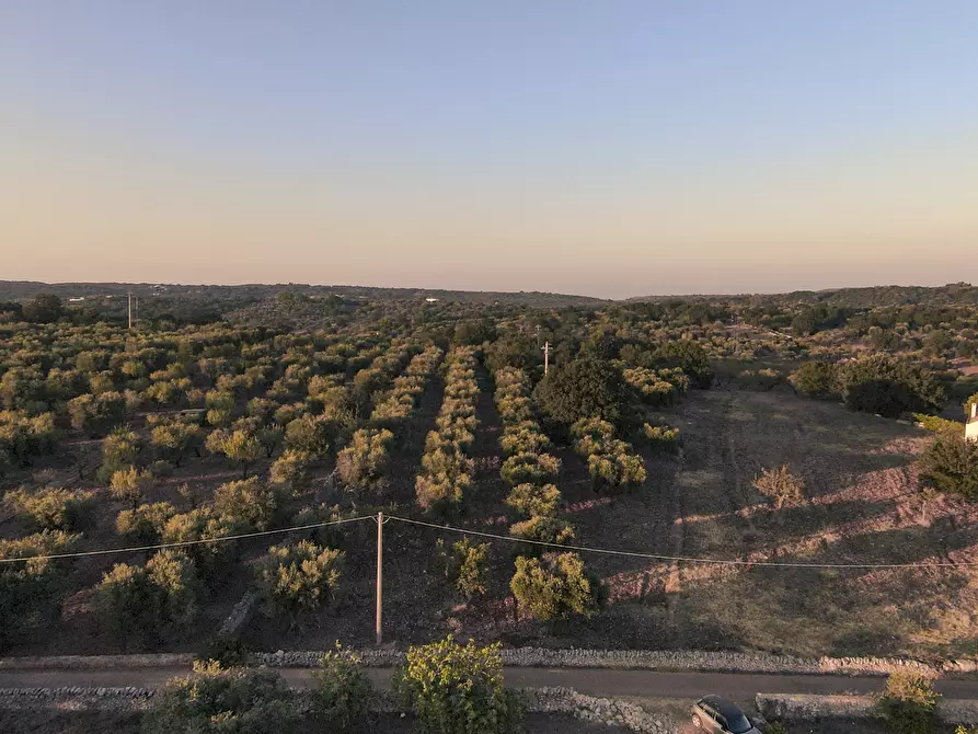 Immagine 1 di Terreno edificabile in vendita  in Contrada Difesa San Salvatore 8 a Ostuni