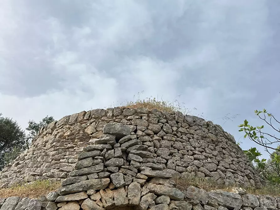 Immagine 39 di Villa in vendita  in Strada Provinciale 22sp 22 a Ostuni