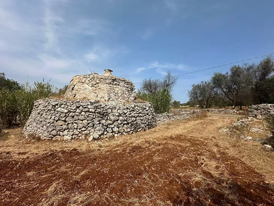Immagine 1 di Casa indipendente in vendita  in Strada Provinciale 28 a Ostuni