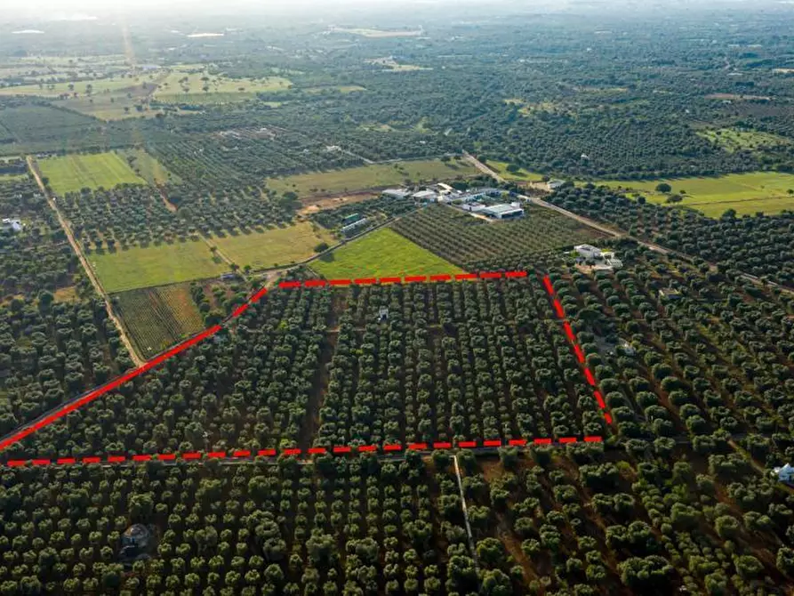 Immagine 2 di Terreno edificabile in vendita  in Contrada Correo a Carovigno