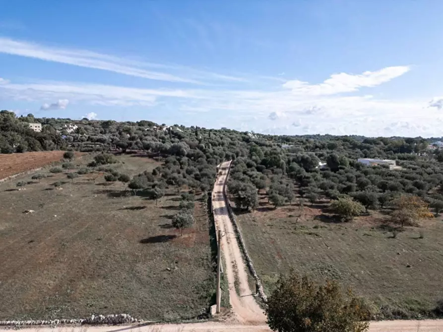Immagine 5 di Villa in vendita  in Contrada Cervarolo a Ostuni