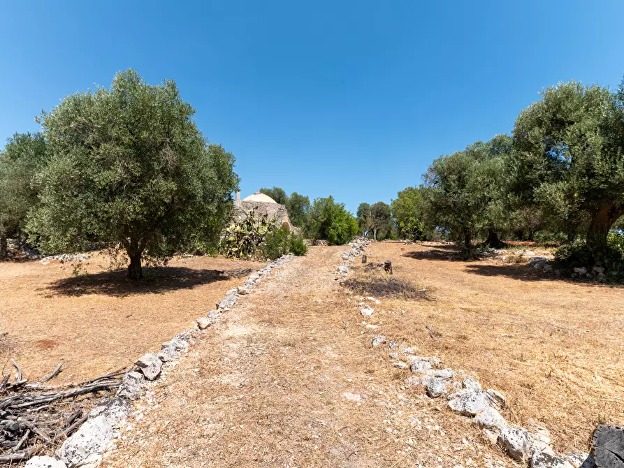 Immagine 20 di Casa indipendente in vendita  in Strada Provinciale 29 a Ostuni