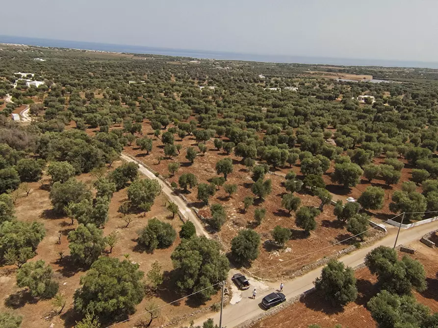 Immagine 2 di Terreno edificabile in vendita  in Contrada Specchia a Carovigno