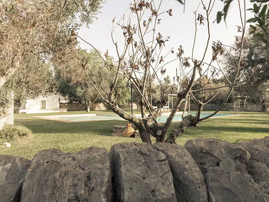 Immagine 75 di Villa in vendita  in Strada Provinciale 46 a San Vito Dei Normanni