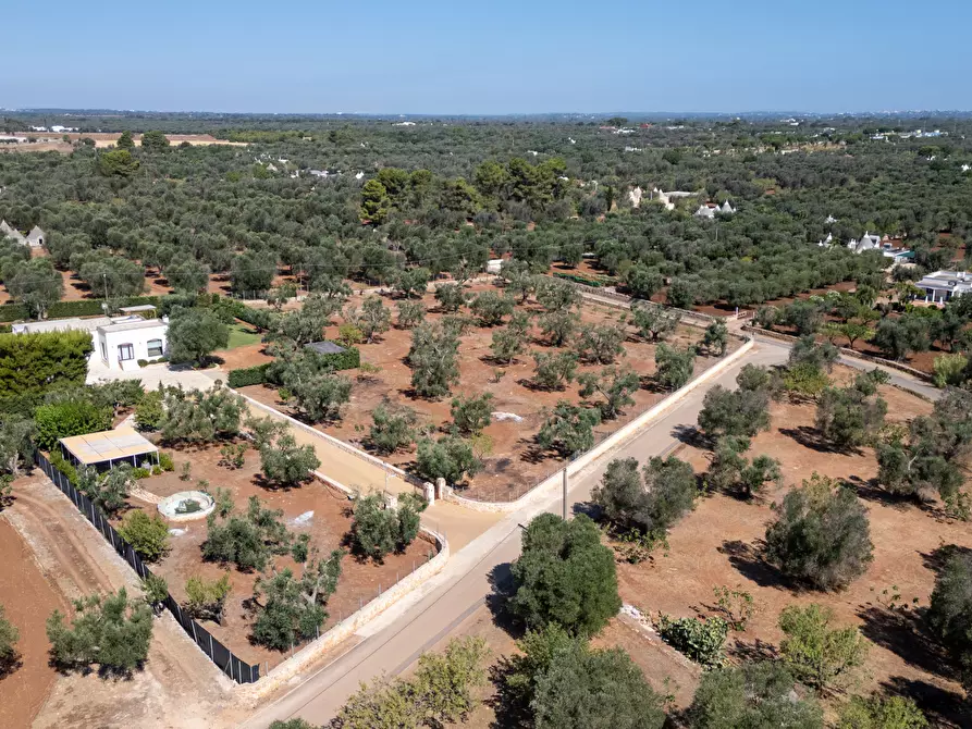Immagine 13 di Villa in vendita  in contrada augelluzzi a San Michele Salentino