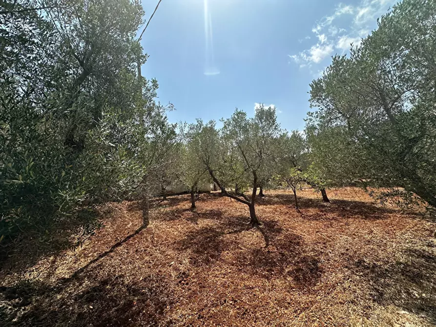 Immagine 15 di Villa in vendita  in SP28 a Ostuni