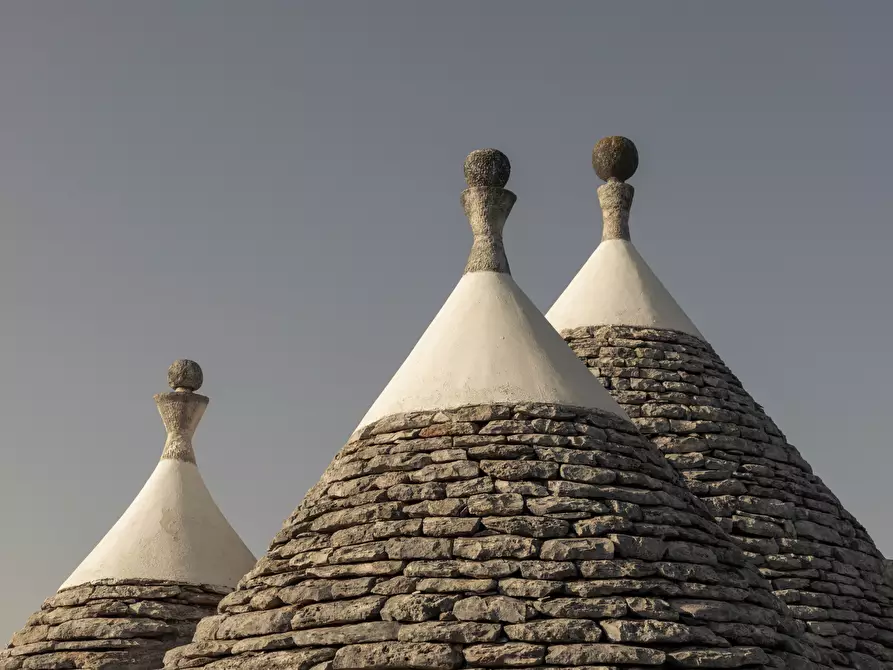 Immagine 10 di Villa in vendita  in Strada Provinciale 46 a San Vito Dei Normanni