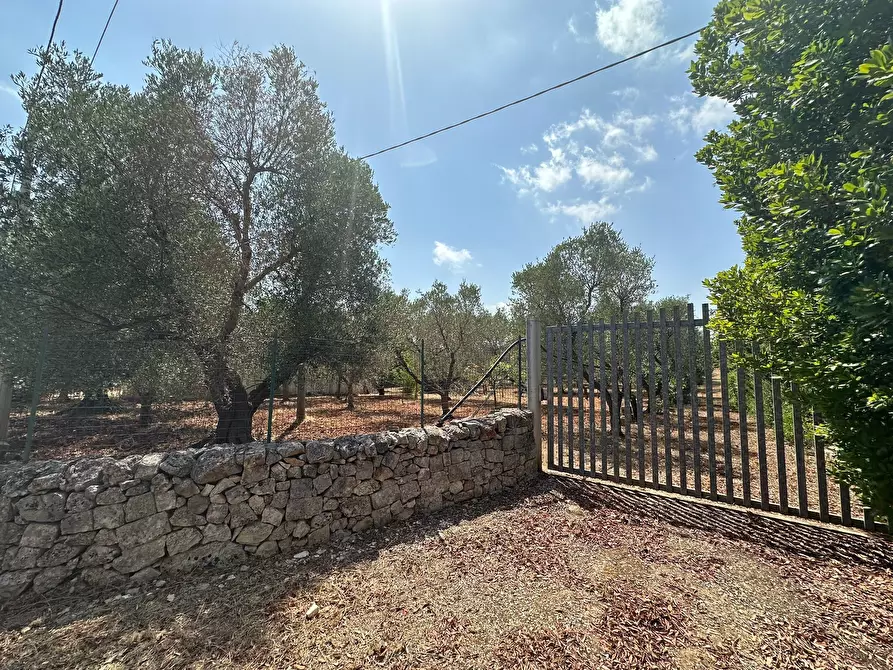 Immagine 2 di Villa in vendita  in SP28 a Ostuni
