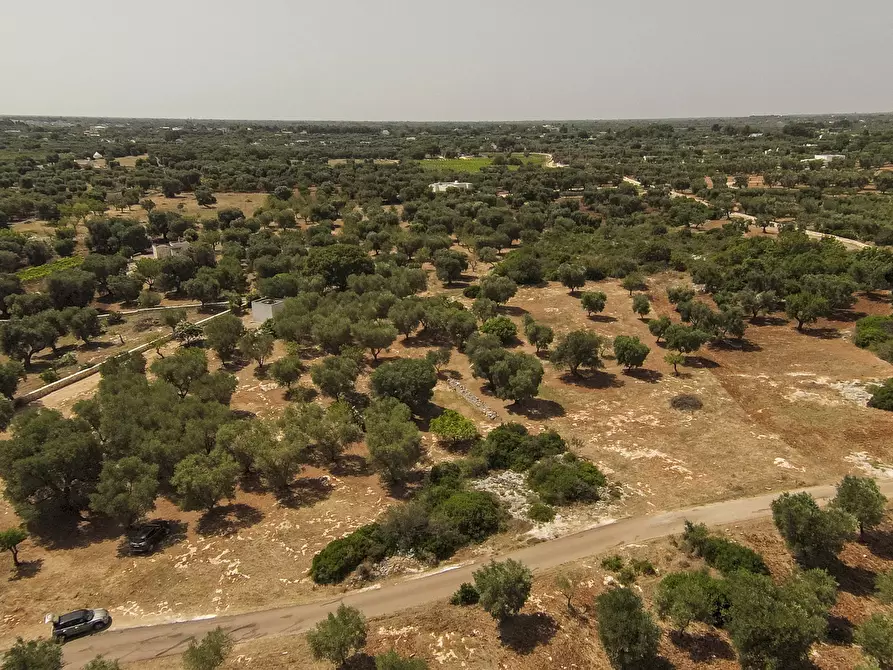 Immagine 2 di Terreno edificabile in vendita  in contrada acciano a Carovigno