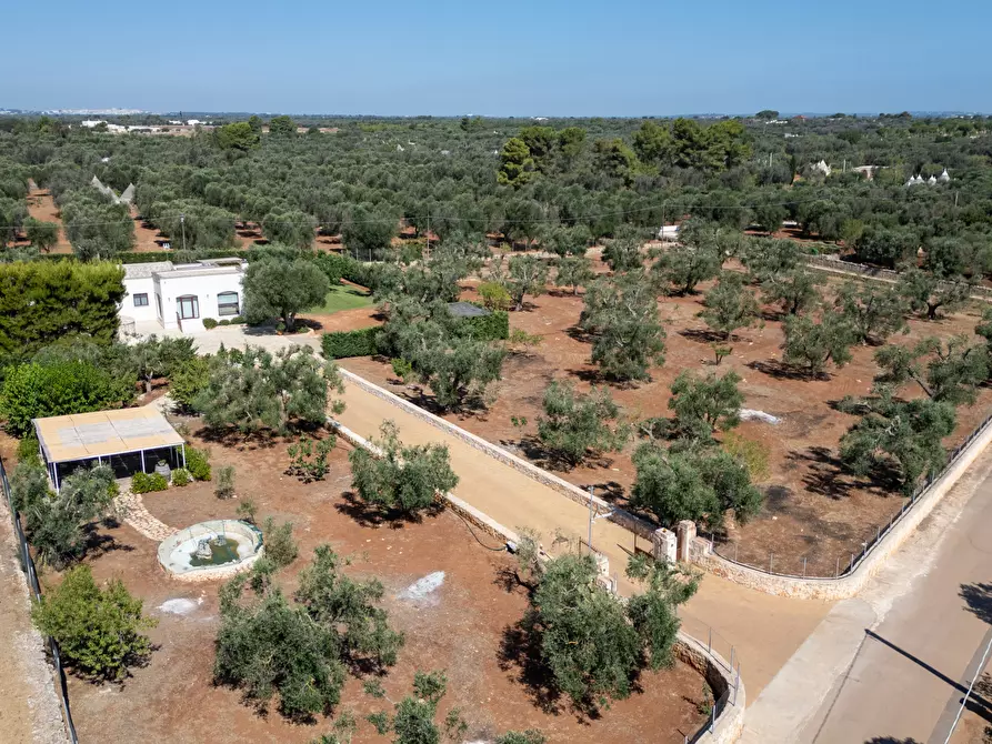 Immagine 14 di Villa in vendita  in contrada augelluzzi a San Michele Salentino