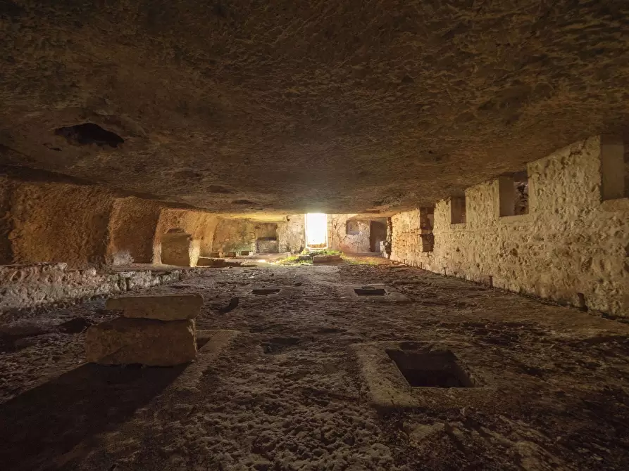 Immagine 10 di Rustico / casale in vendita  in Via Foggia 19 a Ostuni