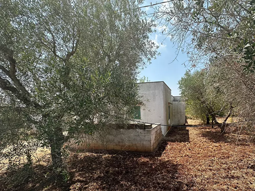 Immagine 5 di Villa in vendita  in SP28 a Ostuni