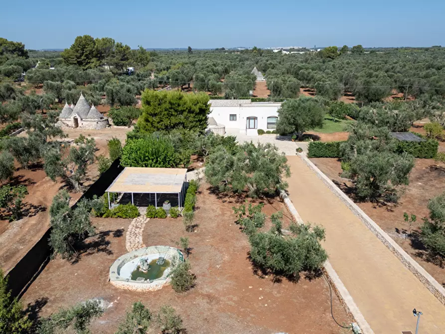 Immagine 15 di Villa in vendita  in contrada augelluzzi a San Michele Salentino