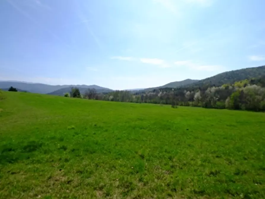 Immagine 2 di Terreno edificabile in vendita  a Mioglia