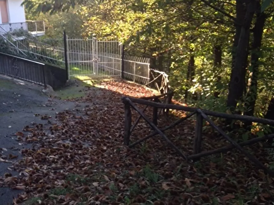 Immagine 3 di Appartamento in vendita  a Urbe