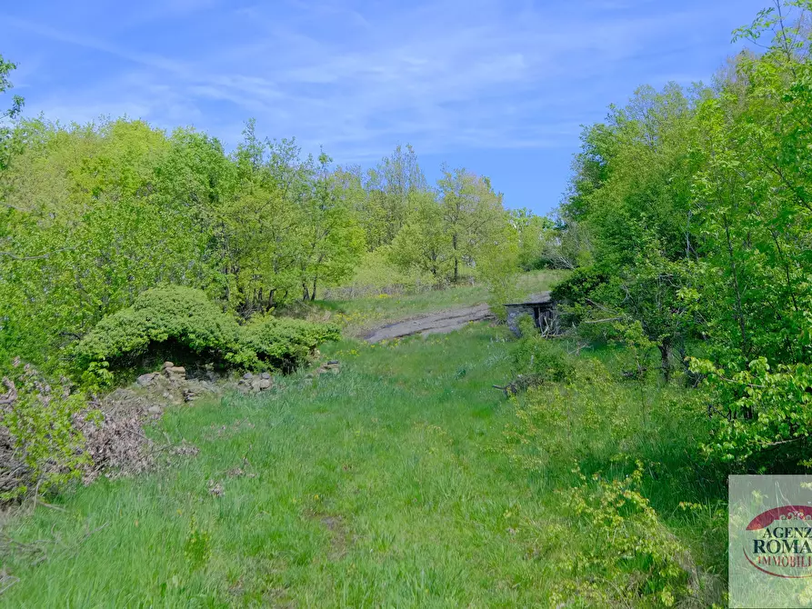 Immagine 4 di Rustico / casale in vendita  in Corso Bovio 2 a Giusvalla