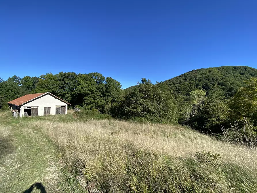 Immagine 4 di Casa indipendente in vendita  in Località Chiapuzzo 8 a Sassello