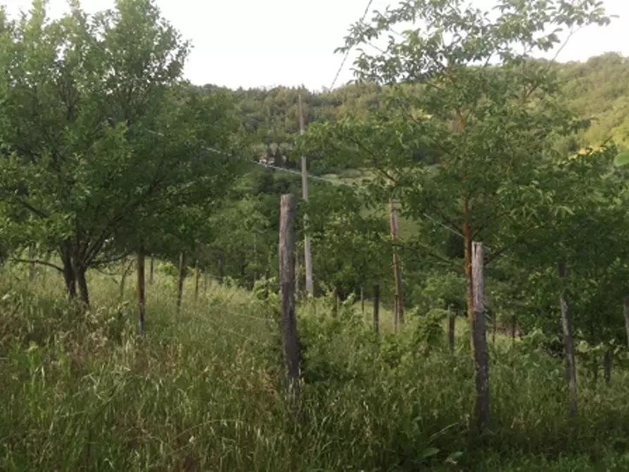 Immagine 44 di Appartamento in vendita  in via piazze 1 a Cremolino