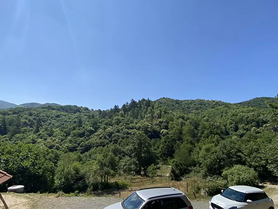 Immagine 9 di Rustico / casale in vendita  in Località Bonuzzo 22 a Sassello