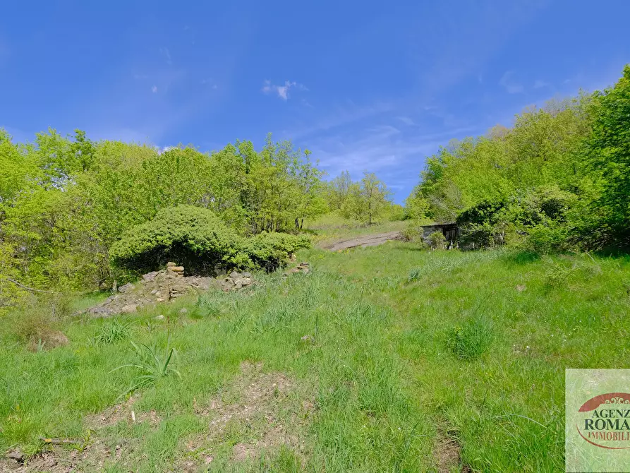 Immagine 9 di Rustico / casale in vendita  in Corso Bovio 2 a Giusvalla