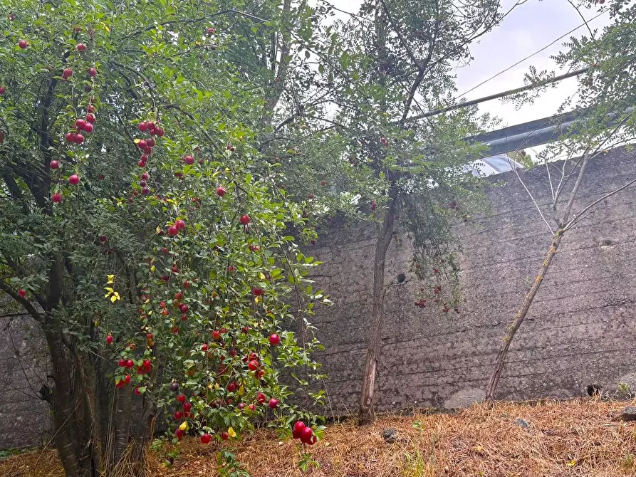 Immagine 49 di Rustico / casale in vendita  in SP216 6 a Pareto