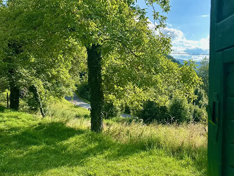 Immagine 25 di Rustico / casale in vendita  in piampaludo a Sassello
