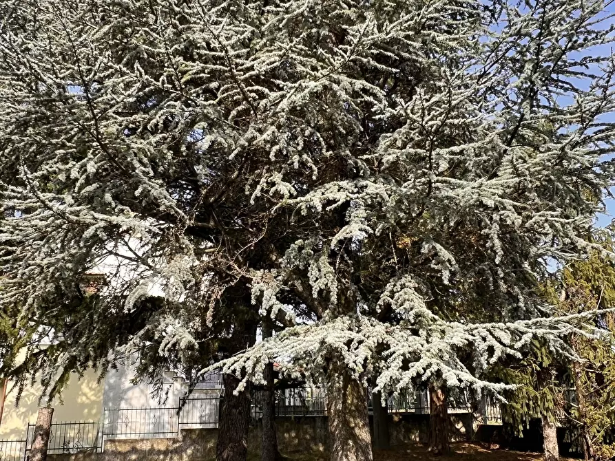 Immagine 12 di Villa in vendita  in Villaggio 193 a Ponzone