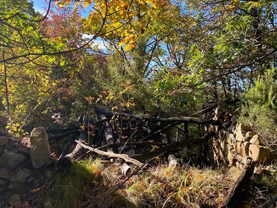 Immagine 4 di Rustico / casale in vendita  in Loc Ormei a Ponzone