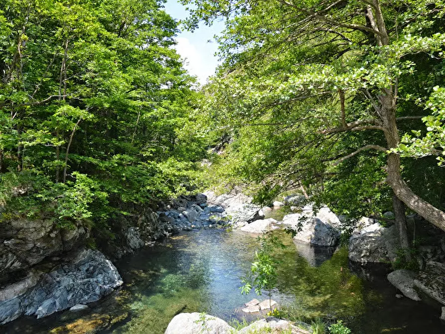 Immagine 33 di Rustico / casale in vendita  in Via Dano a Sassello