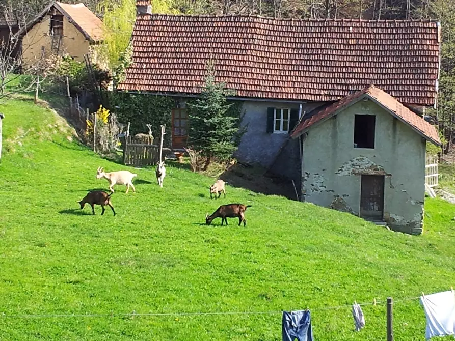 Immagine 16 di Rustico / casale in vendita  a Sassello