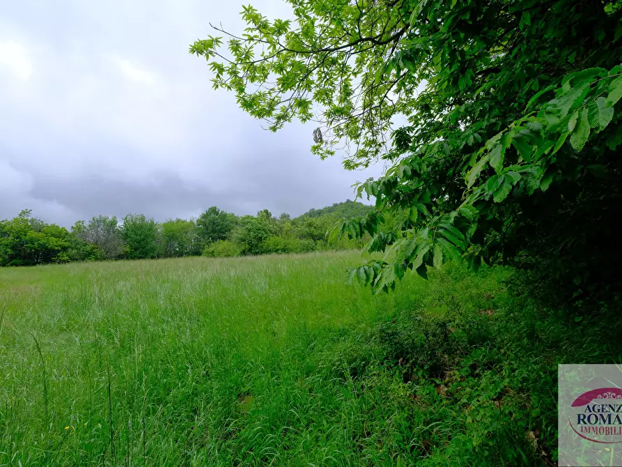 Immagine 21 di Rustico / casale in vendita  a Malvicino