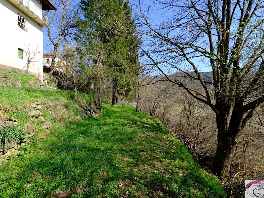 Immagine 39 di Rustico / casale in vendita  in SP216 6 a Pareto